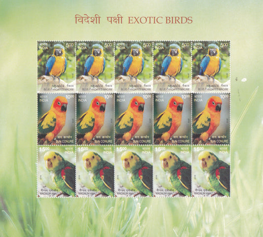 India-Exotic Birds Sheetlets