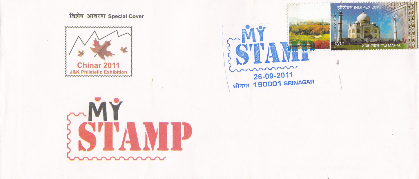 India - Special Unusual 12 different Covers.