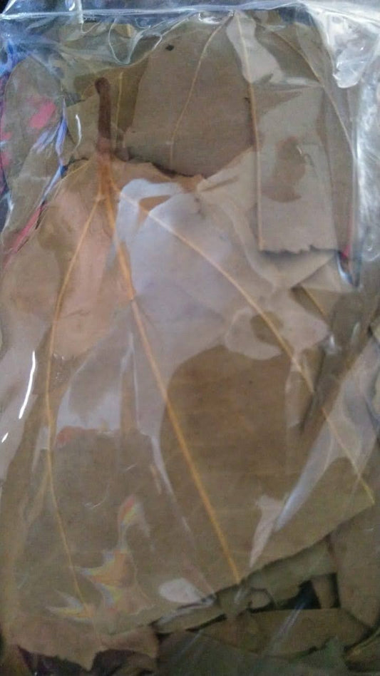 तेजपत्ता - करी, चावल और अनाज के लिए अद्वितीय, सुगंधित गहराई वाला सदियों पुराना भारतीय स्वाद