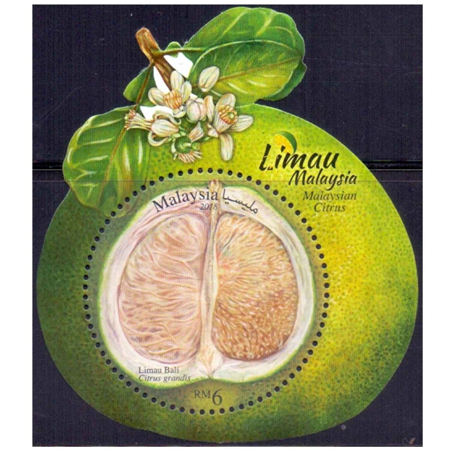 Malaysia-Odd shaped Malaysia 2018 – Malaysian Citrus S/Sheet.