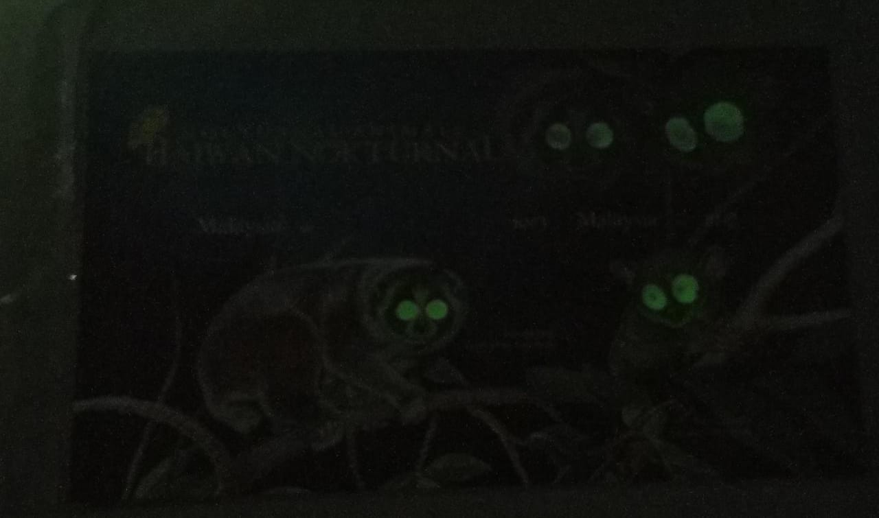 Malaysia glow in dark imperf ms.
