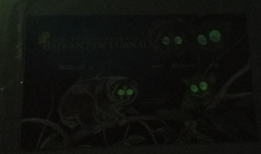 Malaysia glow in dark imperf ms.