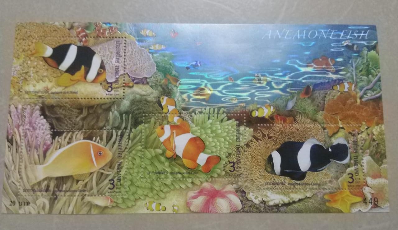 Thailand beautiful ms on sea life with wonderful holographic effect.