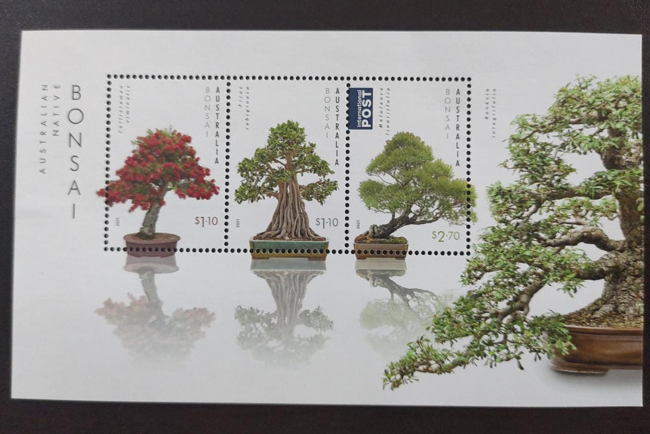 Beautiful MS from Australia on Bonsai plants. Issued in 2021.