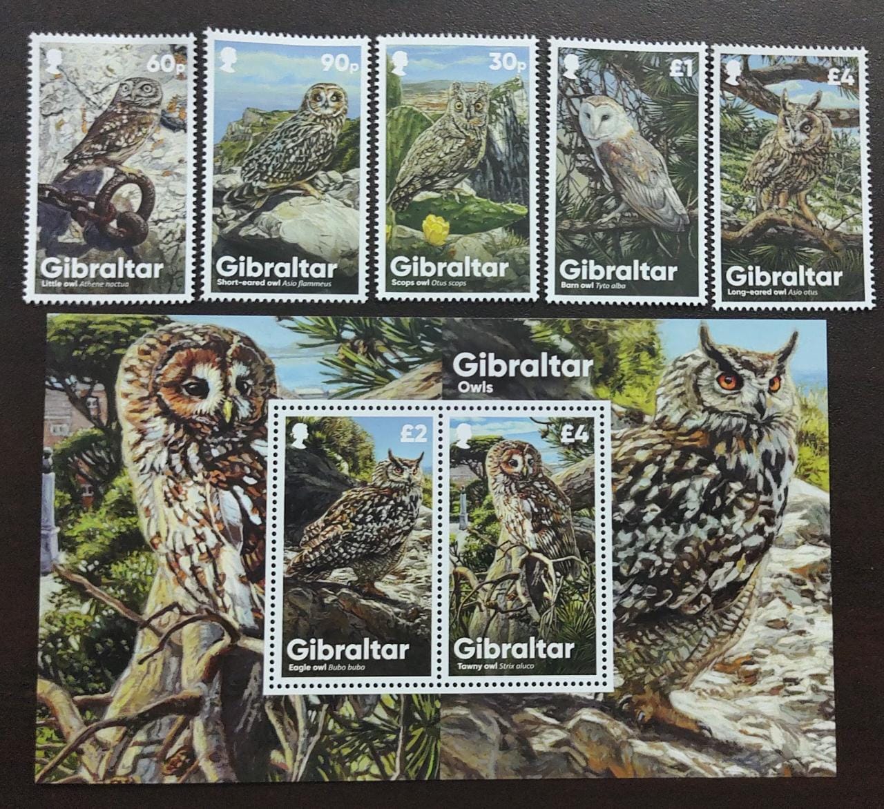 Gibraltar-Beautiful set of 5 MNH stamps and 1 ms on owls 🦉🦉. Special offer at face value.