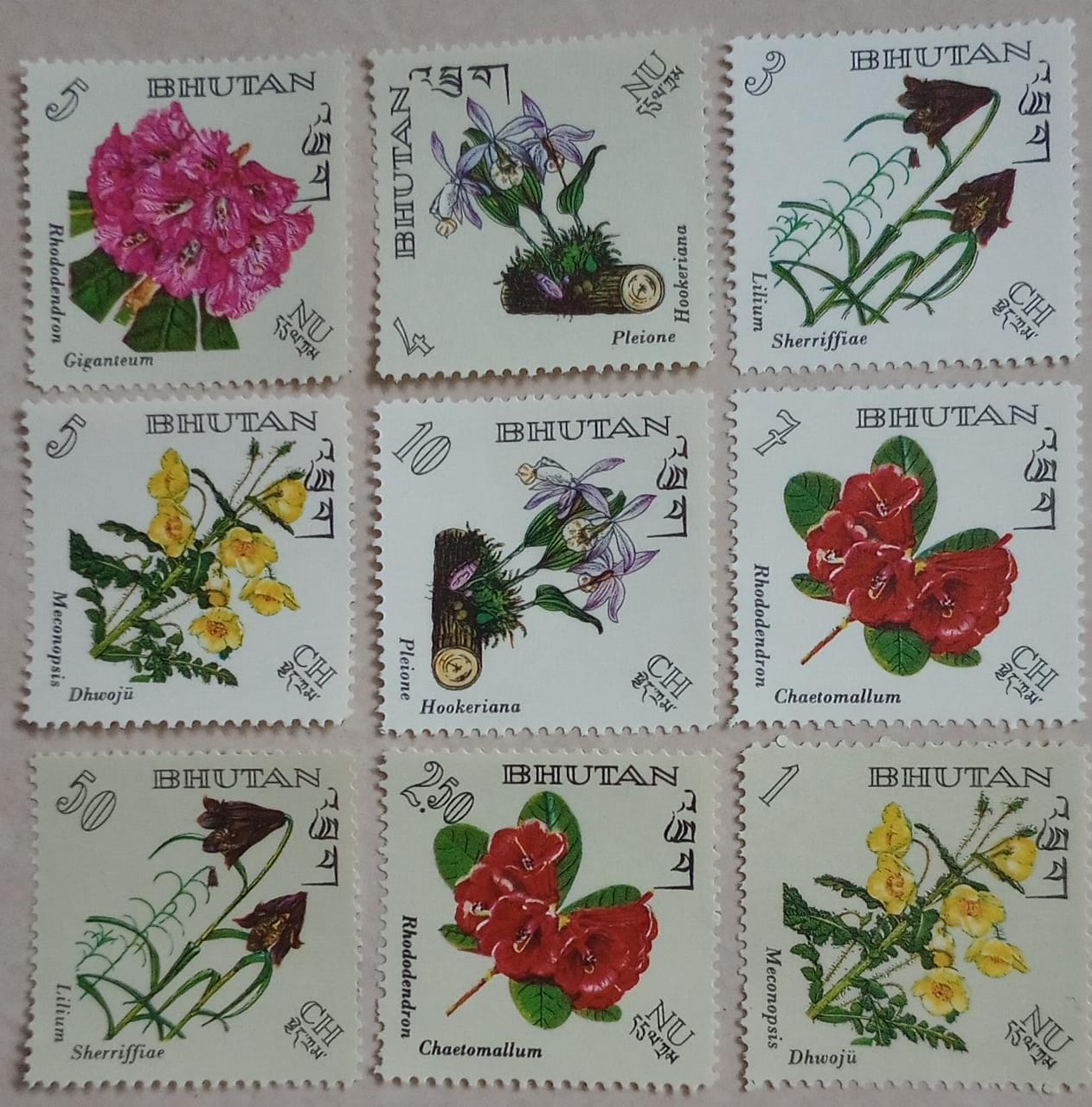 Bhutan 1970s issue of 9 beautiful stamps on flowers MNH.