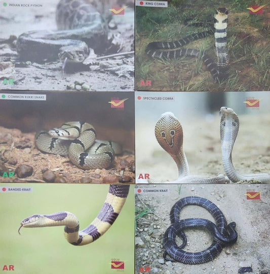 India augmented reality snake picture postcard set with Tapkara pictorial cancellations