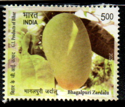India 2025 Bhagalpuri Zardalu Mango