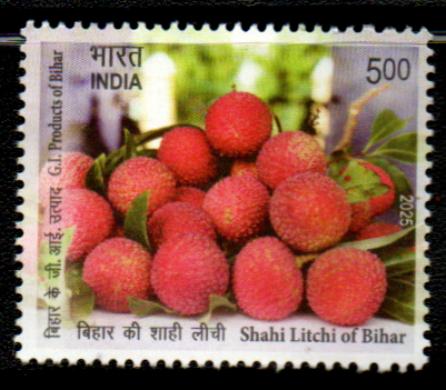 India 2025 Shahi Litchi of Bihar
