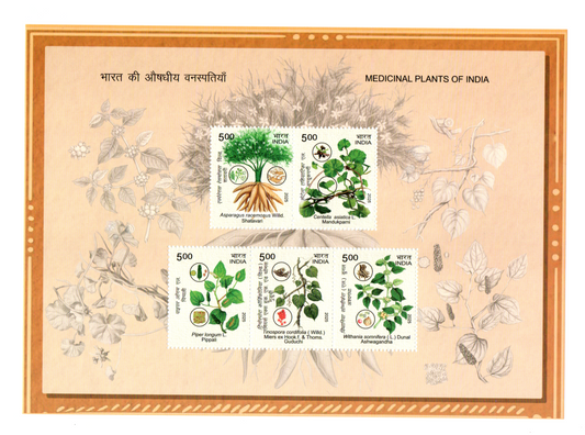 India 2025 Souvinier Sheet Medicinal Plants of India