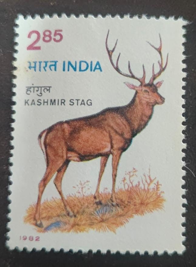 India mint- 1982- wildlife week