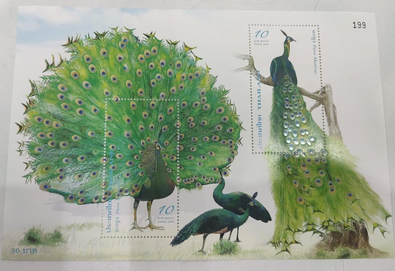 Thailand beautiful ms on peacock UV gloss and embossed.  See video.