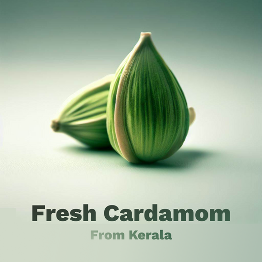 Green Ilaichi - Fresh and Potent Cardamom for your Tea and cooking needs