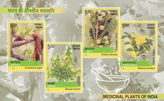 2003-Medicinal plants of India Ms