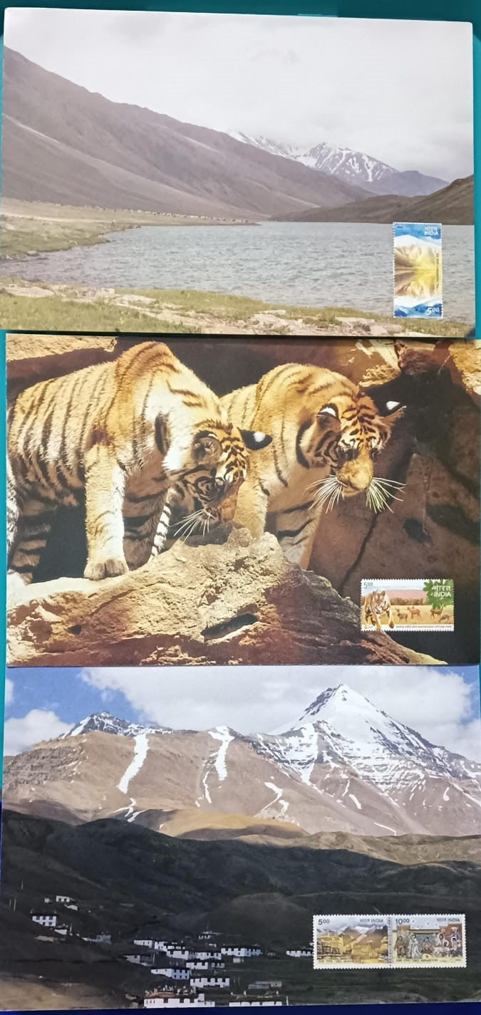 Three mint picture postcards on Tiger cubs, Bhandavgarh National park, Langza Spiti Valley-HP and  Chandra Tal-HP  Issued by India Post
