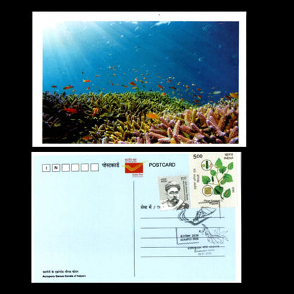 A beautiful set of 5 pic postcards on Marine Fauna of Lakshadweep islands, issued during Kerapex 2026 with exhibition logo special cancellation.
