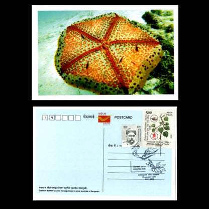 A beautiful set of 5 pic postcards on Marine Fauna of Lakshadweep islands, issued during Kerapex 2026 with exhibition logo special cancellation.