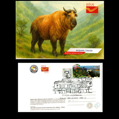 A beautiful set of picture postcards on Biodiversity of India's North East, with inauguration day permanent pictorial cancellations of Neermahal
