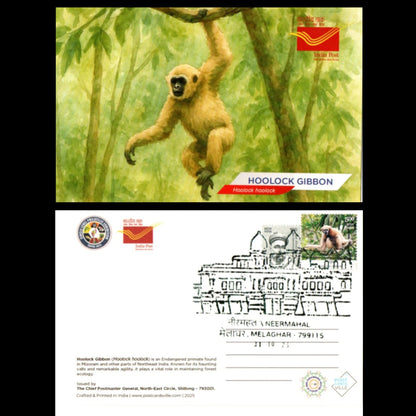 A beautiful set of picture postcards on Biodiversity of India's North East, with inauguration day permanent pictorial cancellations of Neermahal