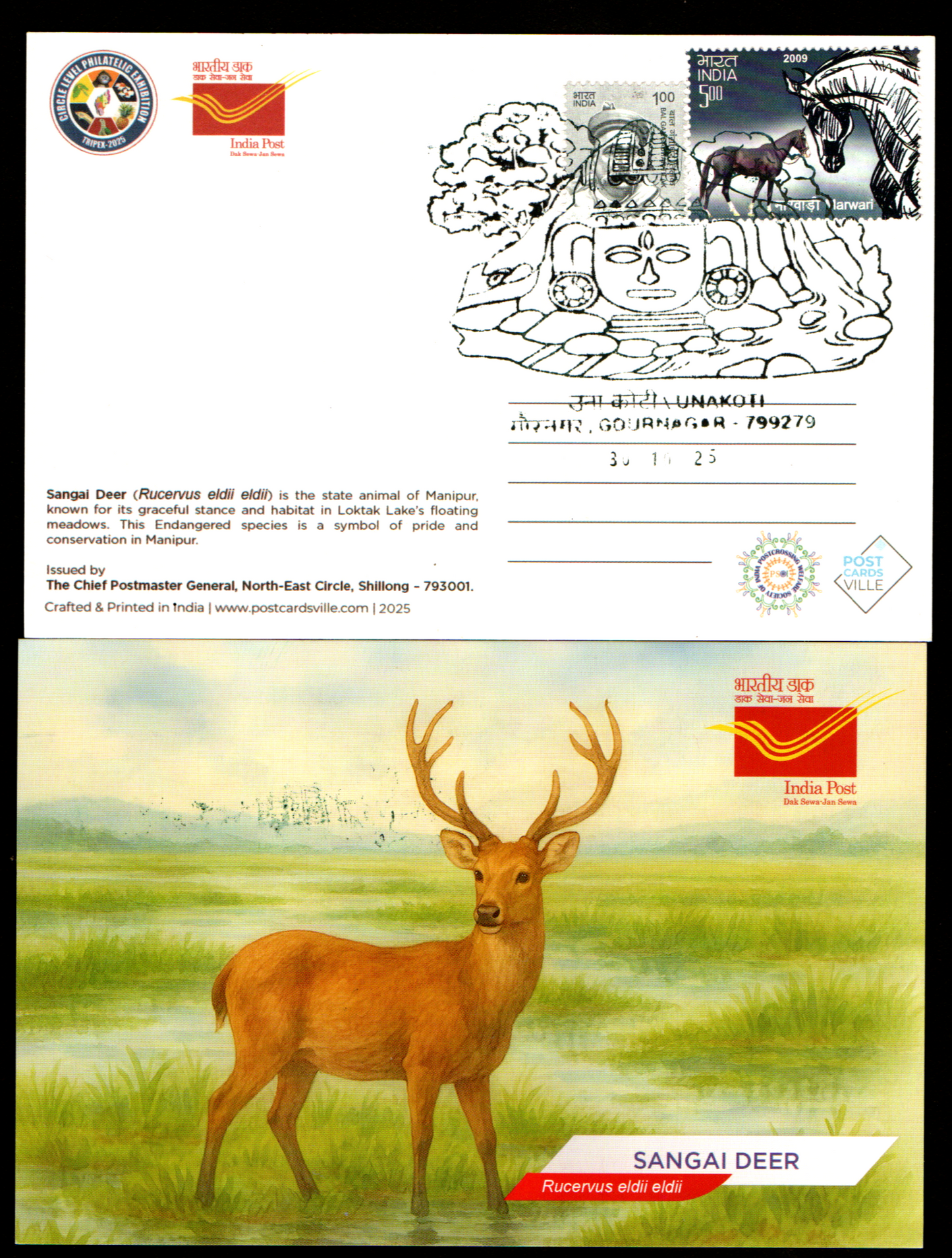 A beautiful set of picture postcards on Biodiversity of India's North East, with inauguration day permanent pictorial cancellations of Unakoti