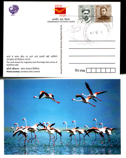 Beautiful set of 5 picture postcards with inauguration day permanent pictorial cancellation on migratory birds Flamingo 🦩 that comes to Sambhar Lake, Rajasthan