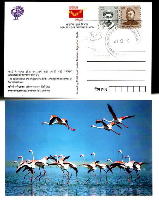 Beautiful set of 5 picture postcards with inauguration day permanent pictorial cancellation on migratory birds Flamingo 🦩 that comes to Sambhar Lake, Rajasthan