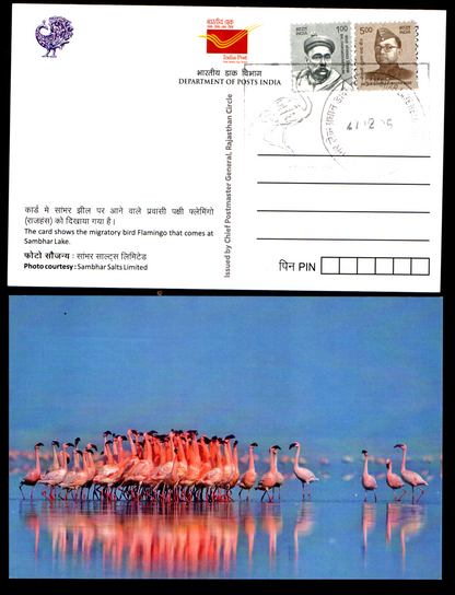 Beautiful set of 5 picture postcards with inauguration day permanent pictorial cancellation on migratory birds Flamingo 🦩 that comes to Sambhar Lake, Rajasthan