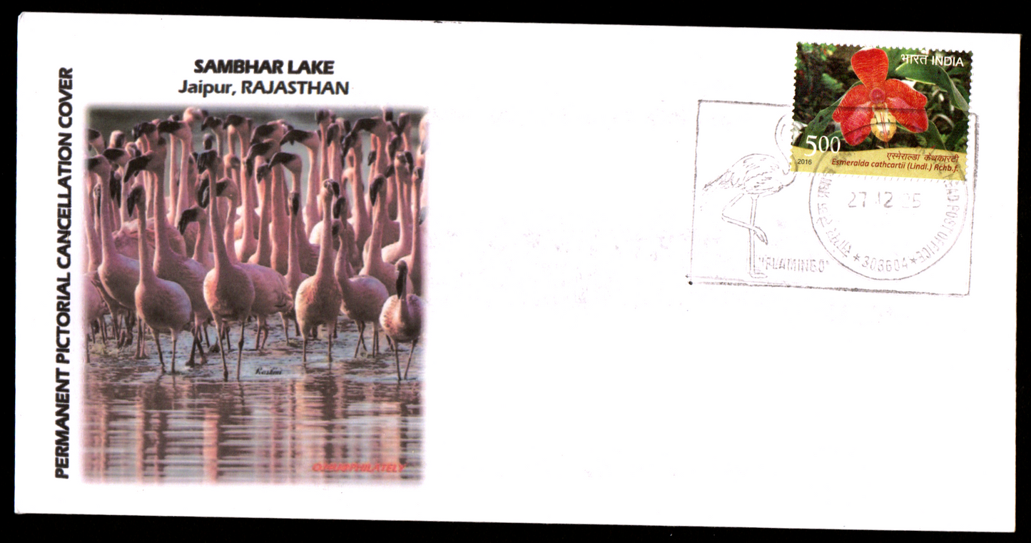 Beautiful set of 5 picture postcards with inauguration day permanent pictorial cancellation on migratory birds Flamingo 🦩 that comes to Sambhar Lake, Rajasthan