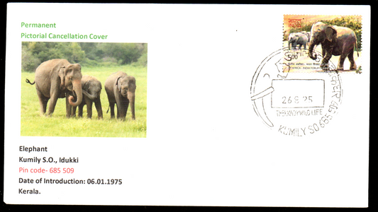 Permanent Pictorial Cancellation Cover on  Elephant Kumily