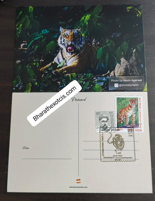 Tiger day 🐅 Special cancellation- 29.7.24.  On picture postcard, cancelled from Thiruvanthapuram