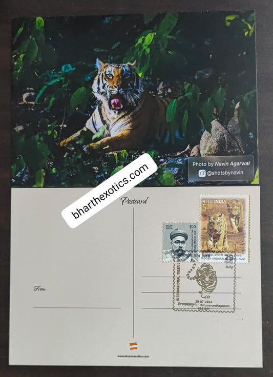 Tiger day 🐅 Special cancellation- 29.7.24  On picture postcard, cancelled from Thiruvanthapuram.