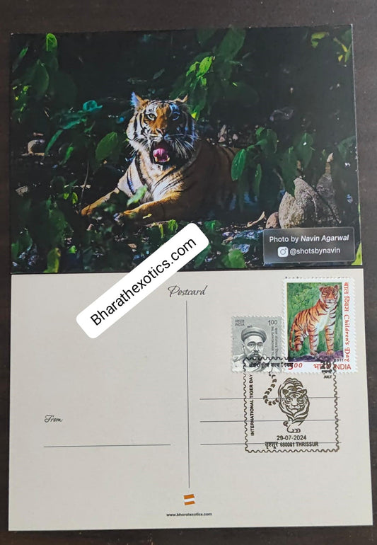 Tiger day 🐅 Special cancellation- 29.7.24. On picture postcard, cancelled from Thrissur