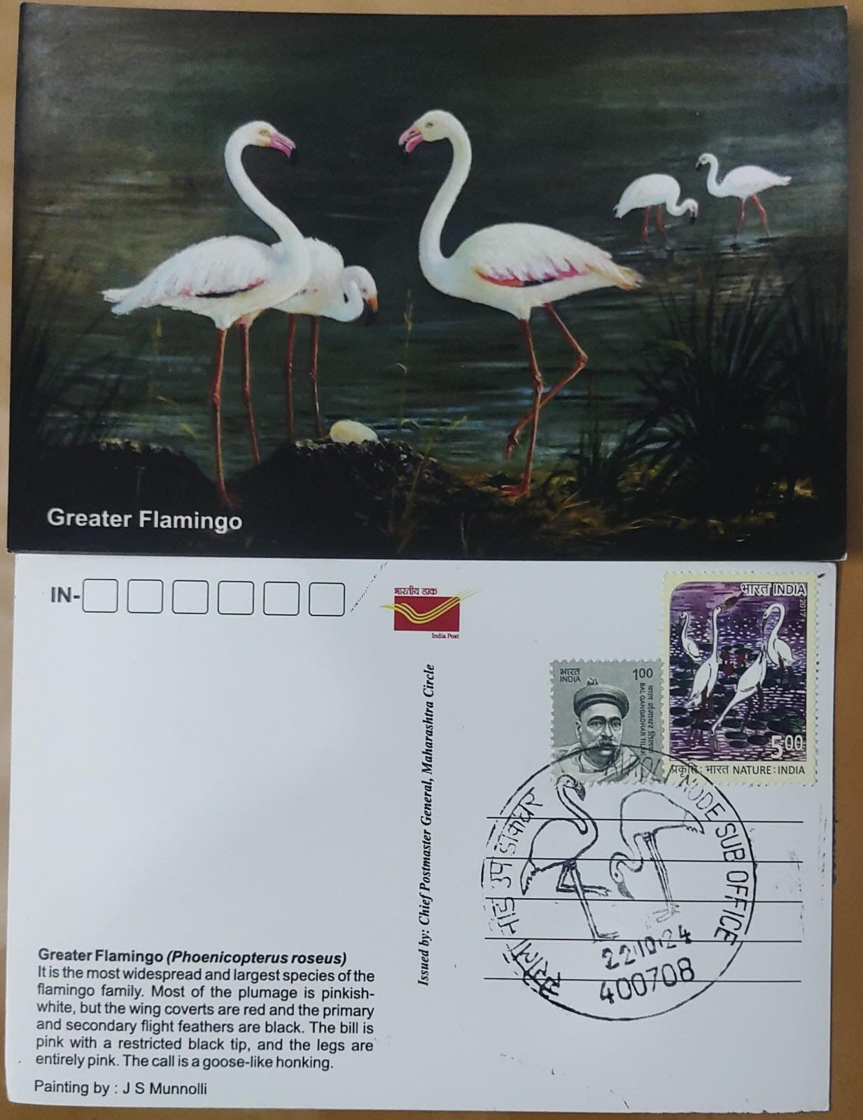 Flamingo 🦩 postcard , with flamingo 🦩 stamp and permanent pictorial cancellation of flamingo 🦩 inaguration day PPC