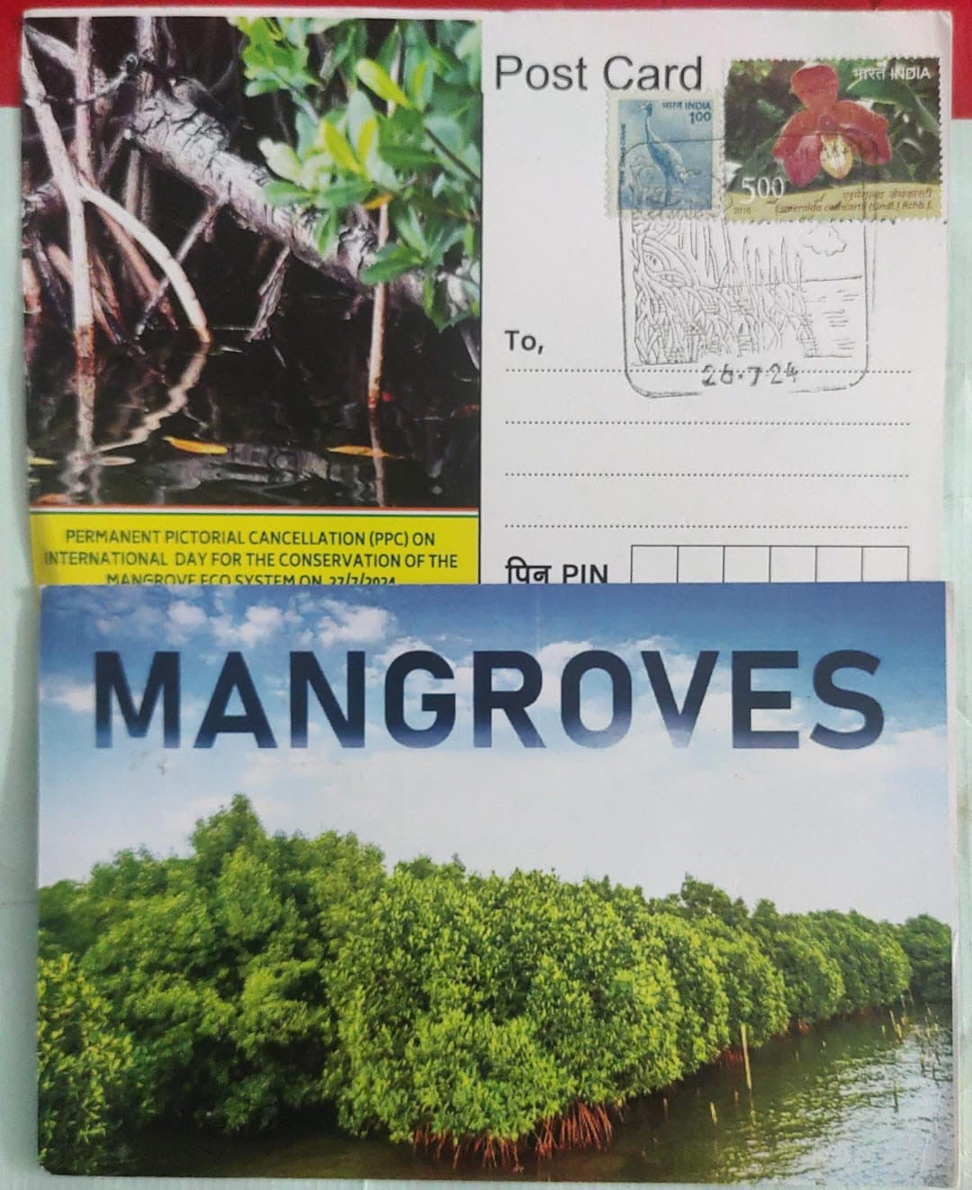 Killai mangroves permanent pictorial cancellation inaguration day PPC on picture postcard.