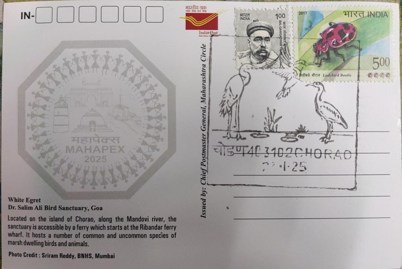 Chorao inaguration day PPC on postcard. Dr.Salim Ali Bird Sanctuary  Dt 23.01.2025 on picture post card issued by Postal department limited numbers issued.