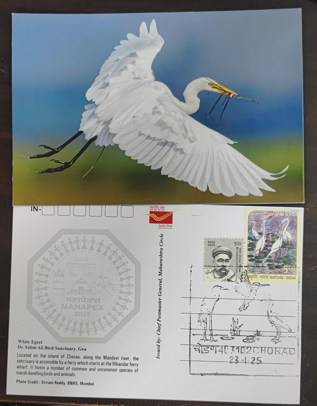 Chorao inaguration day PPC on postcard. Dr.Salim Ali Bird Sanctuary  Dt 23.01.2025 on picture post card issued by Postal department limited numbers issued. (Copy)