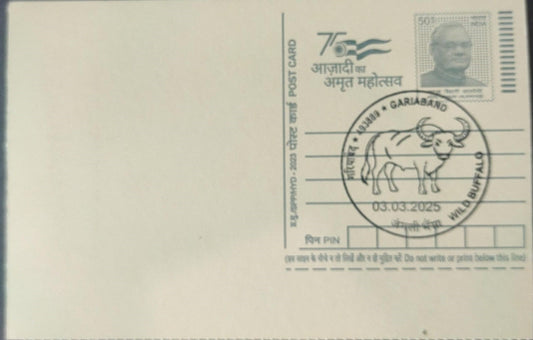 Gariaband Reserve inaguration day PPC on post card Featuring wild buffalo