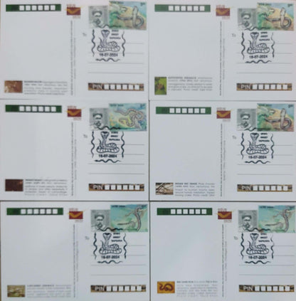 Augmented reality Picture Postcards from DOP - CG circle with Introduction day PPC on Snakes