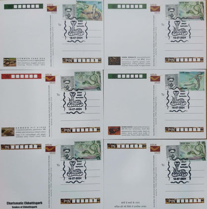 Augmented reality Picture Postcards from DOP - CG circle with Introduction day PPC on Snakes