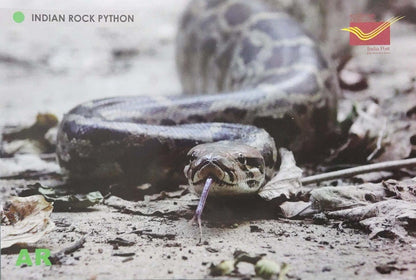 Augmented reality Picture Postcards from DOP - CG circle with Introduction day PPC on Snakes-Indian Rock Python