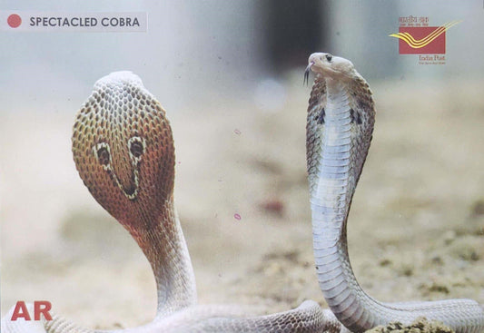 Augmented reality Picture Postcards from DOP - CG circle with Introduction day PPC on Snakes-Spectacled Cobra
