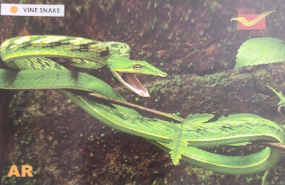Augmented reality Picture Postcards from DOP - CG circle with Introduction day PPC on Snakes-Vine snake