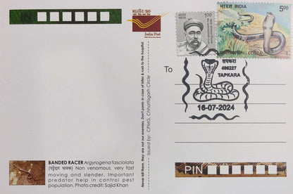 Picture Postcards from DOP - CG circle with Introduction day PPC on Snakes-Banded Racer