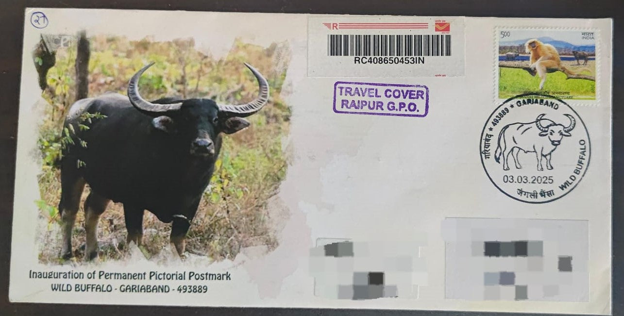 Inauguration day PPC on private cover on Wild Buffalo - Travelled cover from CG