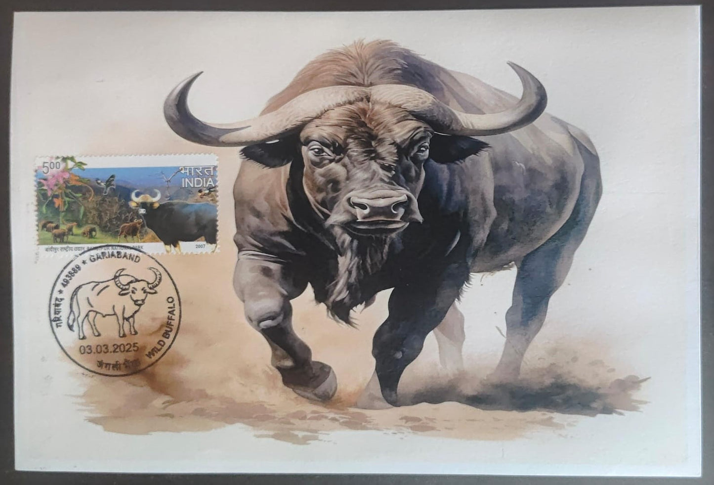 Inauguration day Permanent Pictorial cancellation wild Buffalo issued from Gariaband (CG) on private cover