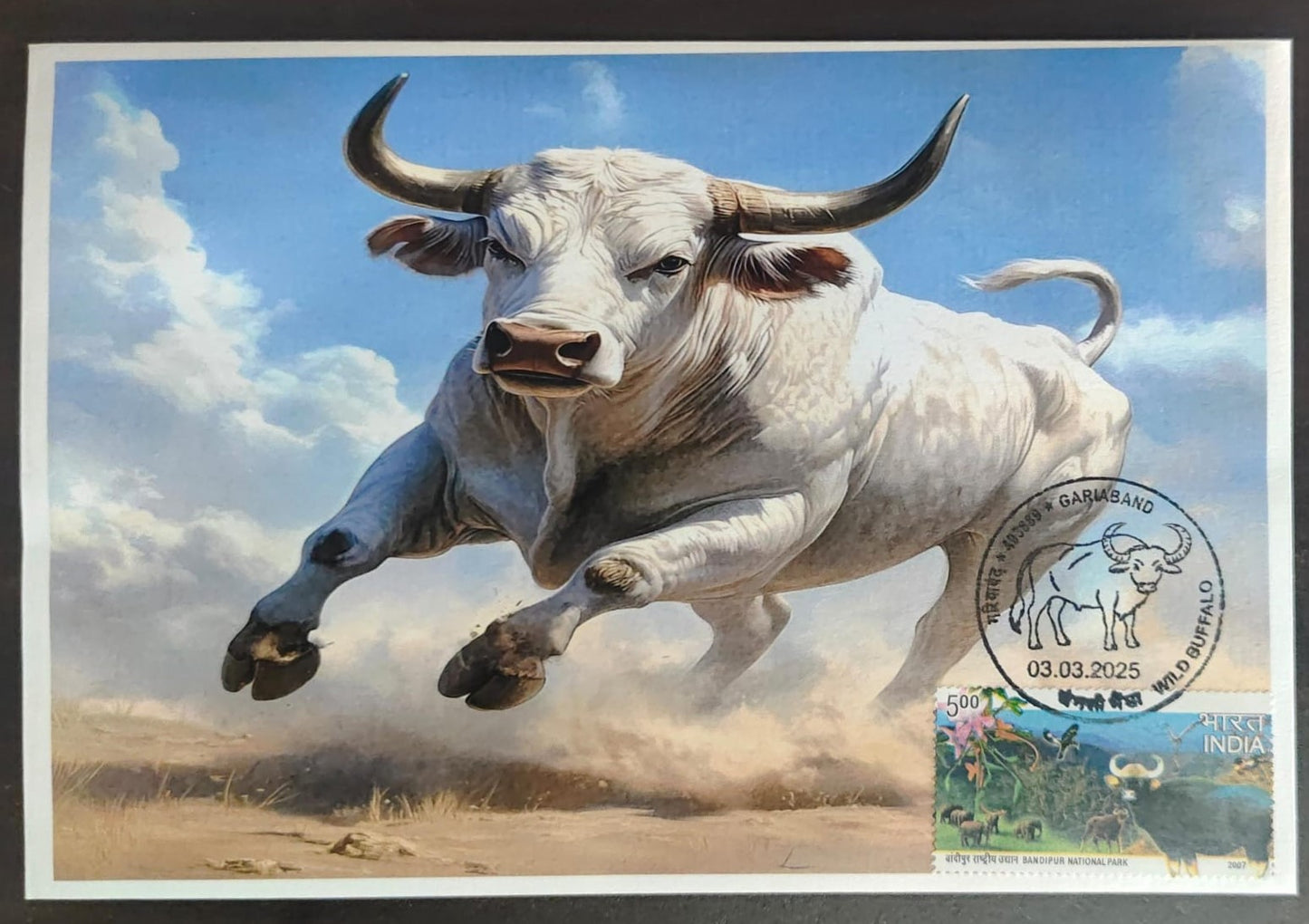 Inauguration day Permanent Pictorial cancellation wild Buffalo issued from Gariaband (CG) on private cover