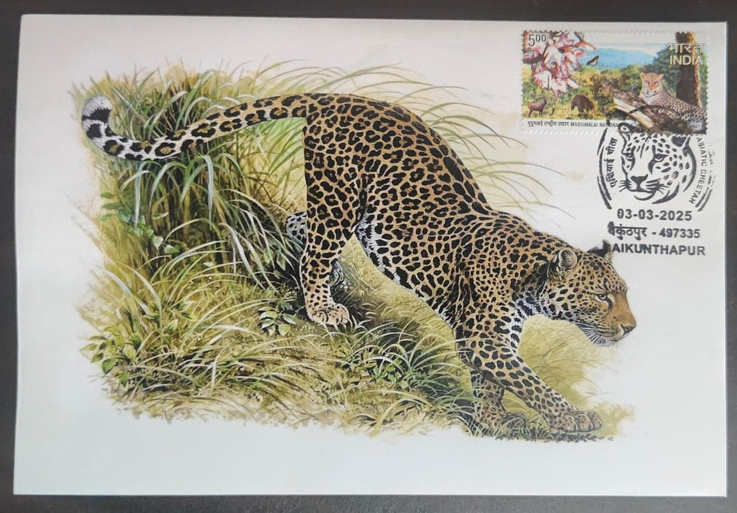 Inauguration day Permanent Pictorial cancellation Asiatic Cheetah issued from Baikunthapur  (CG) on private cover