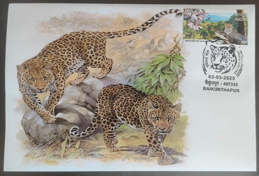 Inauguration day Permanent Pictorial cancellation Asiatic Cheetah issued from Baikunthapur  (CG) on private cover