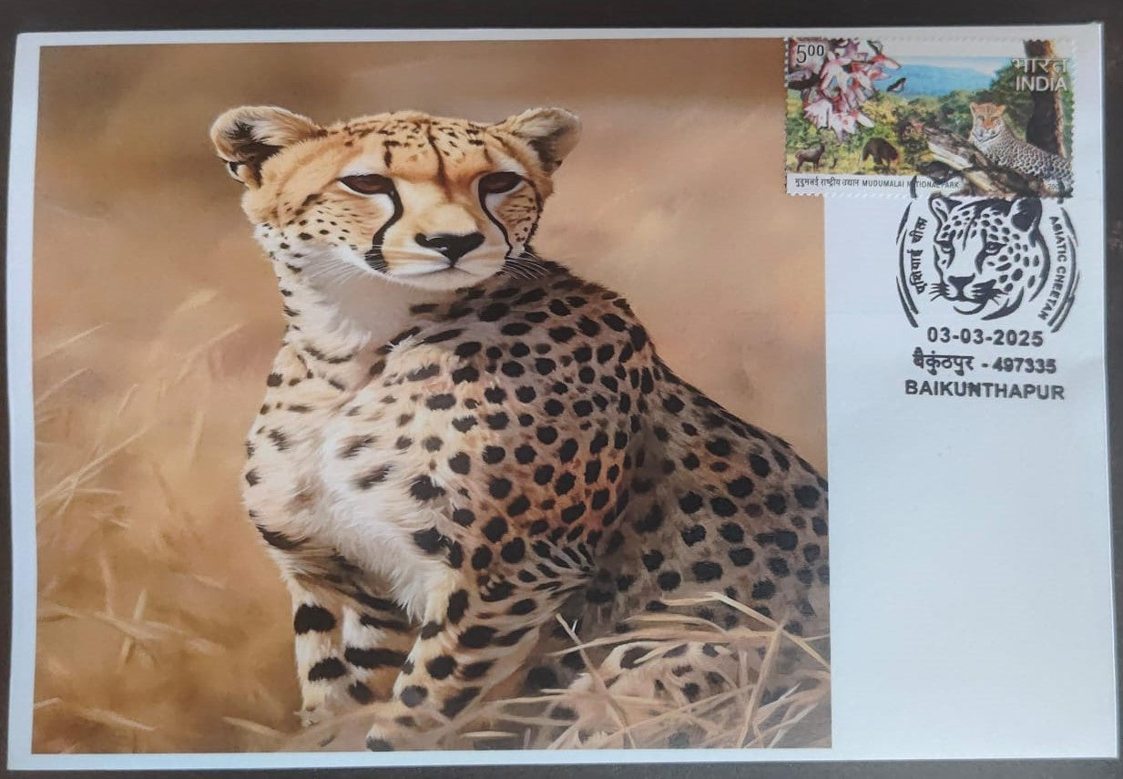 Inauguration day Permanent Pictorial cancellation Asiatic Cheetah issued from Baikunthapur  (CG) on private cover
