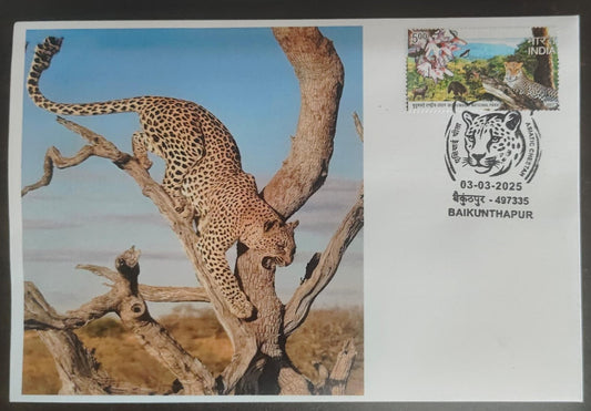 Inauguration day Permanent Pictorial cancellation Asiatic Cheetah issued from Baikunthapur  (CG) on private cover
